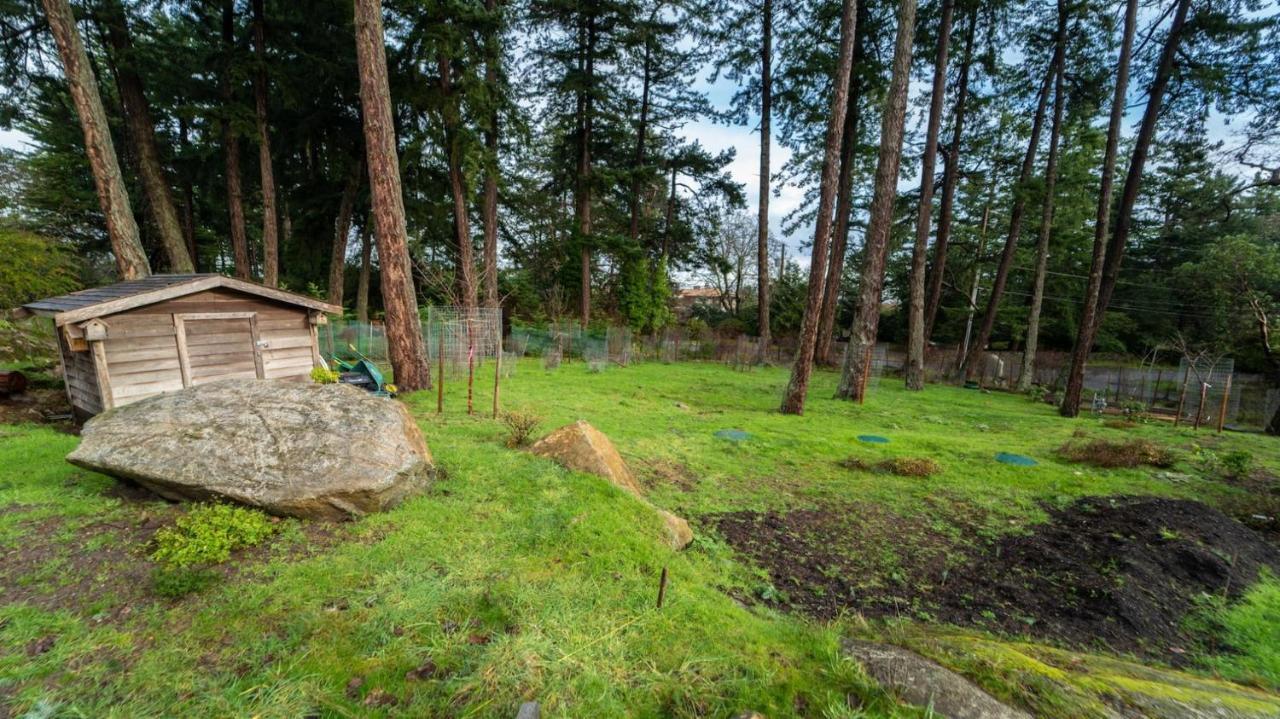 Private Modern Queenswood